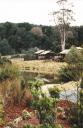lodge_pond.jpg