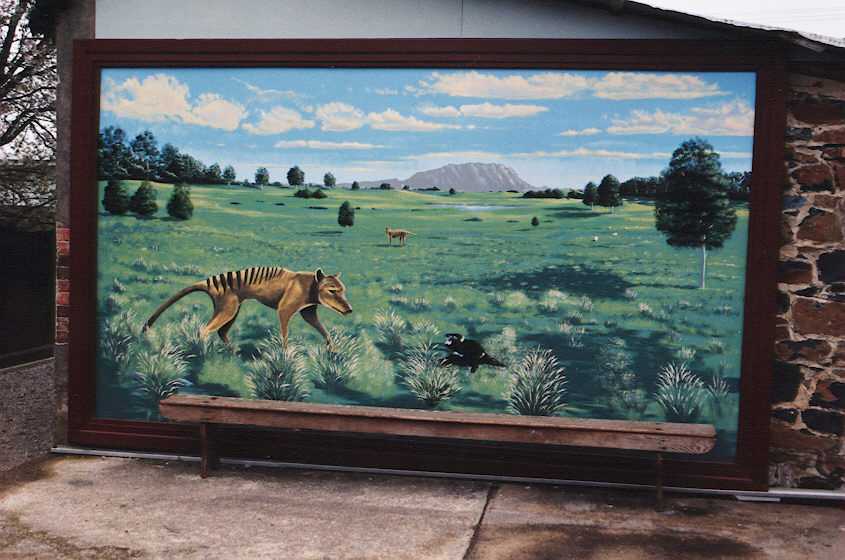 thylacine_mural.jpg