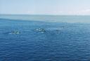 scuba_away.jpg