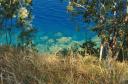 coral_shore.jpg