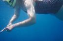 snorkeling.jpg