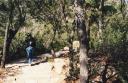 Elaine_hiking.jpg