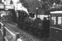 Bush_train_BW.jpg