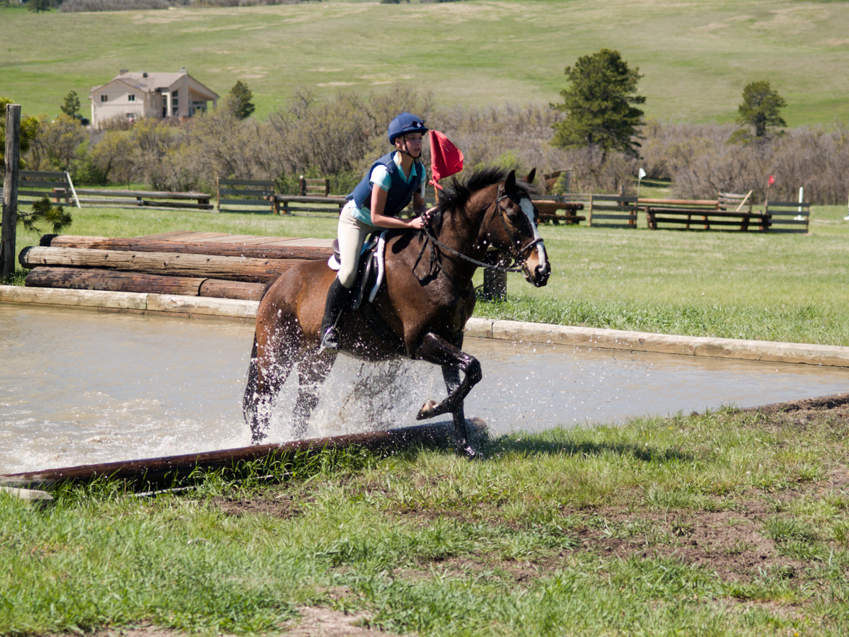 Hap_at_Abbe_Ranch_01.jpg