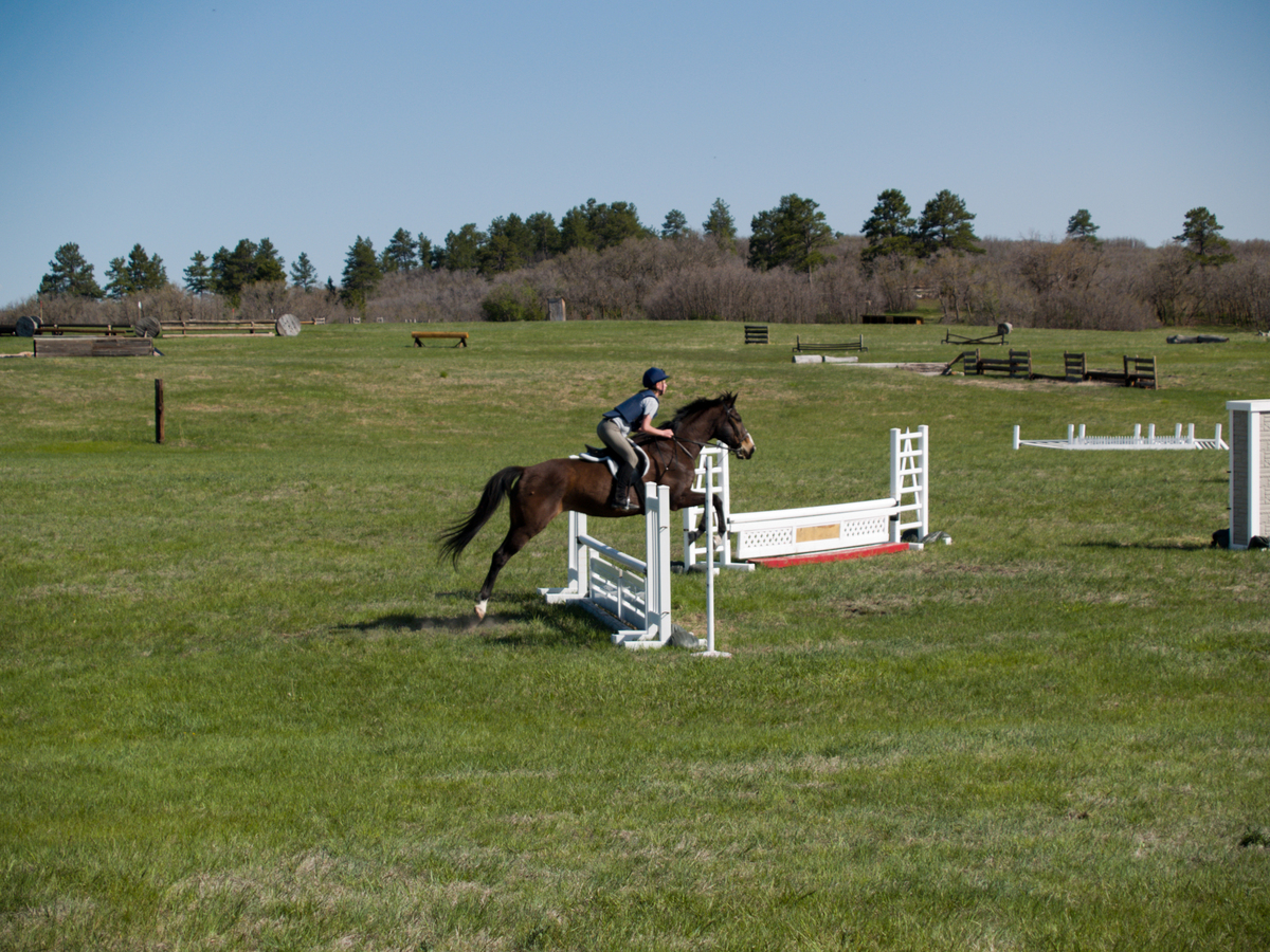 Hap_at_Abbe_Ranch_05.jpg