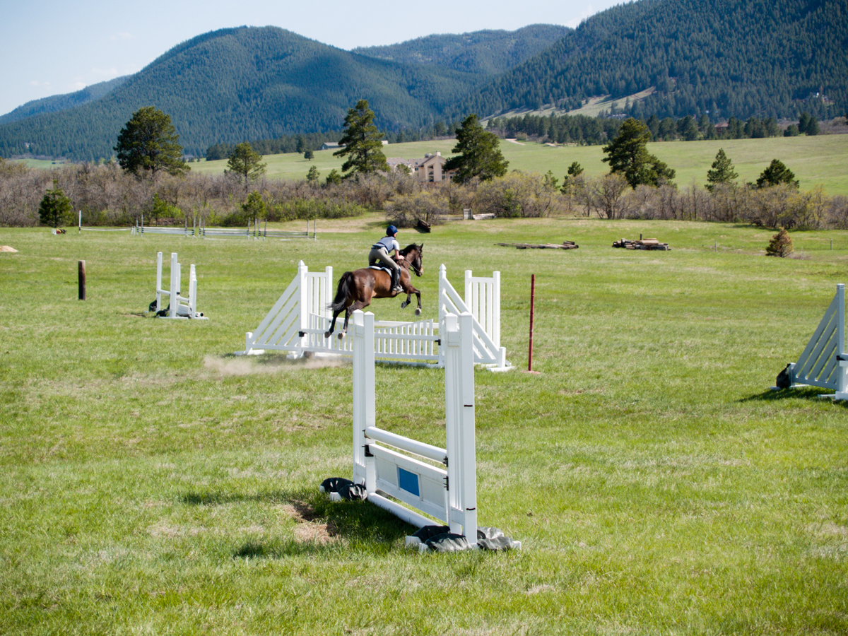 Hap_at_Abbe_Ranch_07.jpg