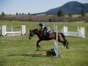Hap at Abbe Ranch 04