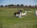 Hap at Abbe Ranch 08