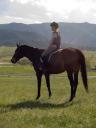 Hap_at_Abbe_Ranch_10.jpg