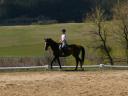 Hap at Abbe Ranch 11