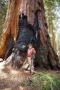 Jack at Sequoia National Park
