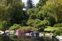 Japanese Garden
