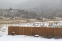 Another Gray Day