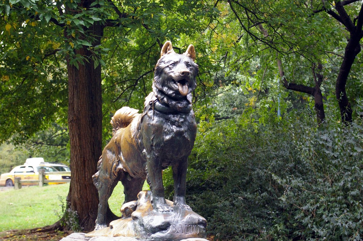 Balto.jpg