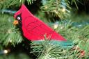 Cardinal.jpg