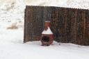 Chiminea_in_the_Snow.jpg