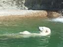 Keeping_Cool.jpg