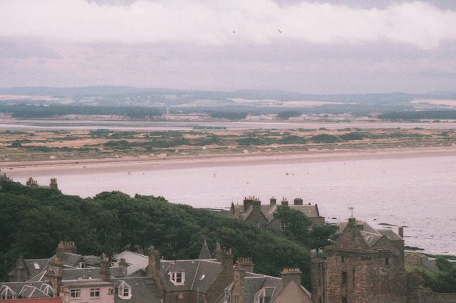 001367.jpg
