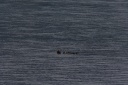IMG 2839