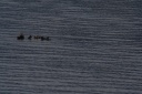 IMG_2840.png