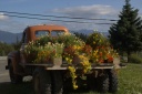 20110805truckplanter.png