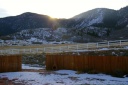 New Year's Sun