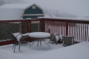 20121209snowyday.png
