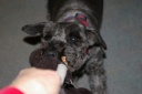 20121210tug.png